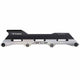 Cuadro Flying Eagle Sense 255