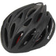 Flying Eagle Fast Forward Helmet