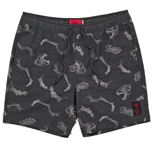 Globe Dion Agius Poolshort - Inlinex